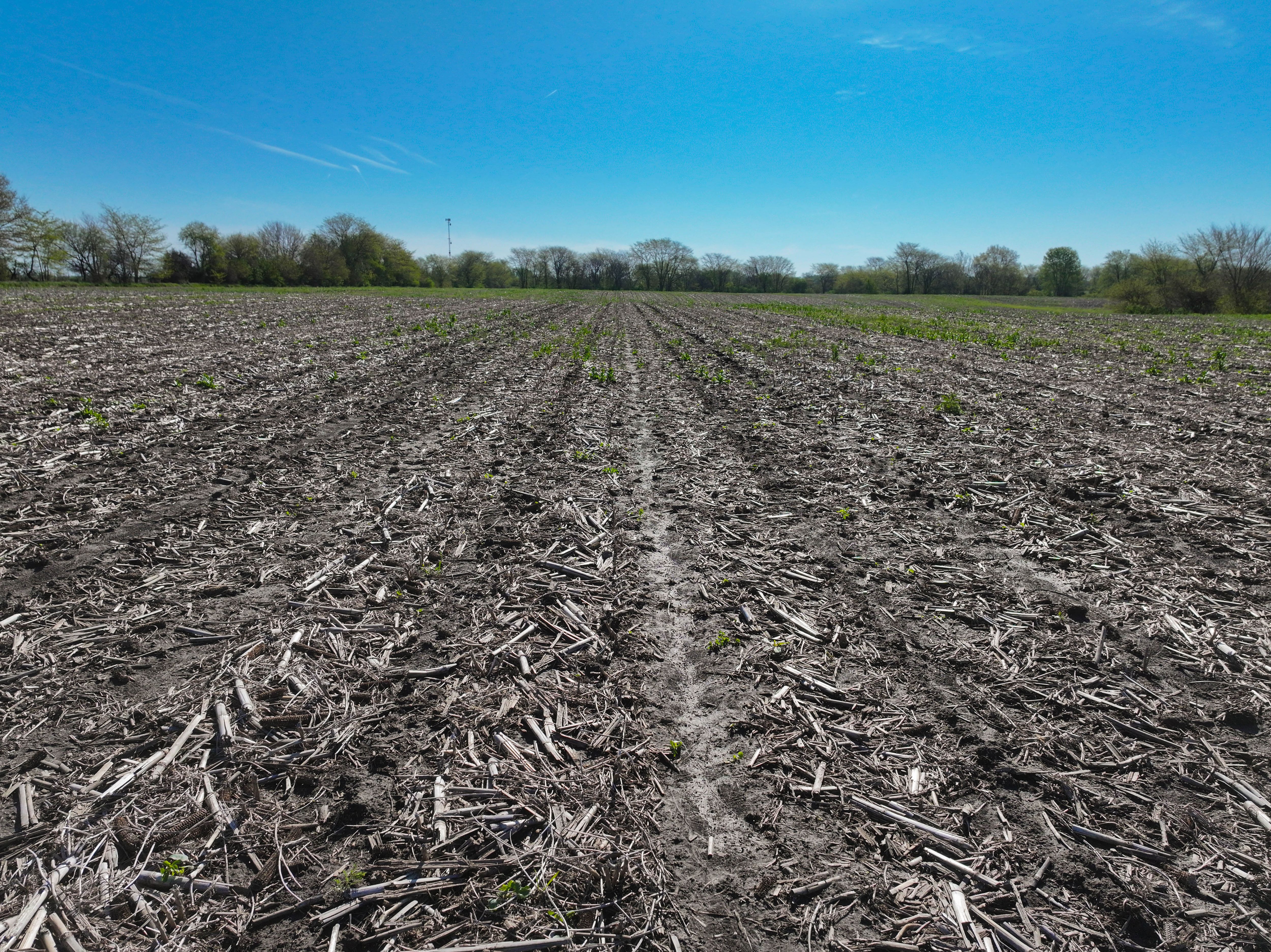 Listing Photo: Henry County Rural Building Sites